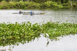 florida kayaking tours near orlando