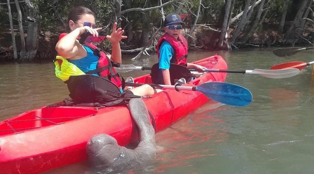 manatee tour space coast